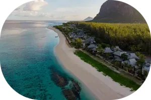 pexels-markusspiske-2004161 2